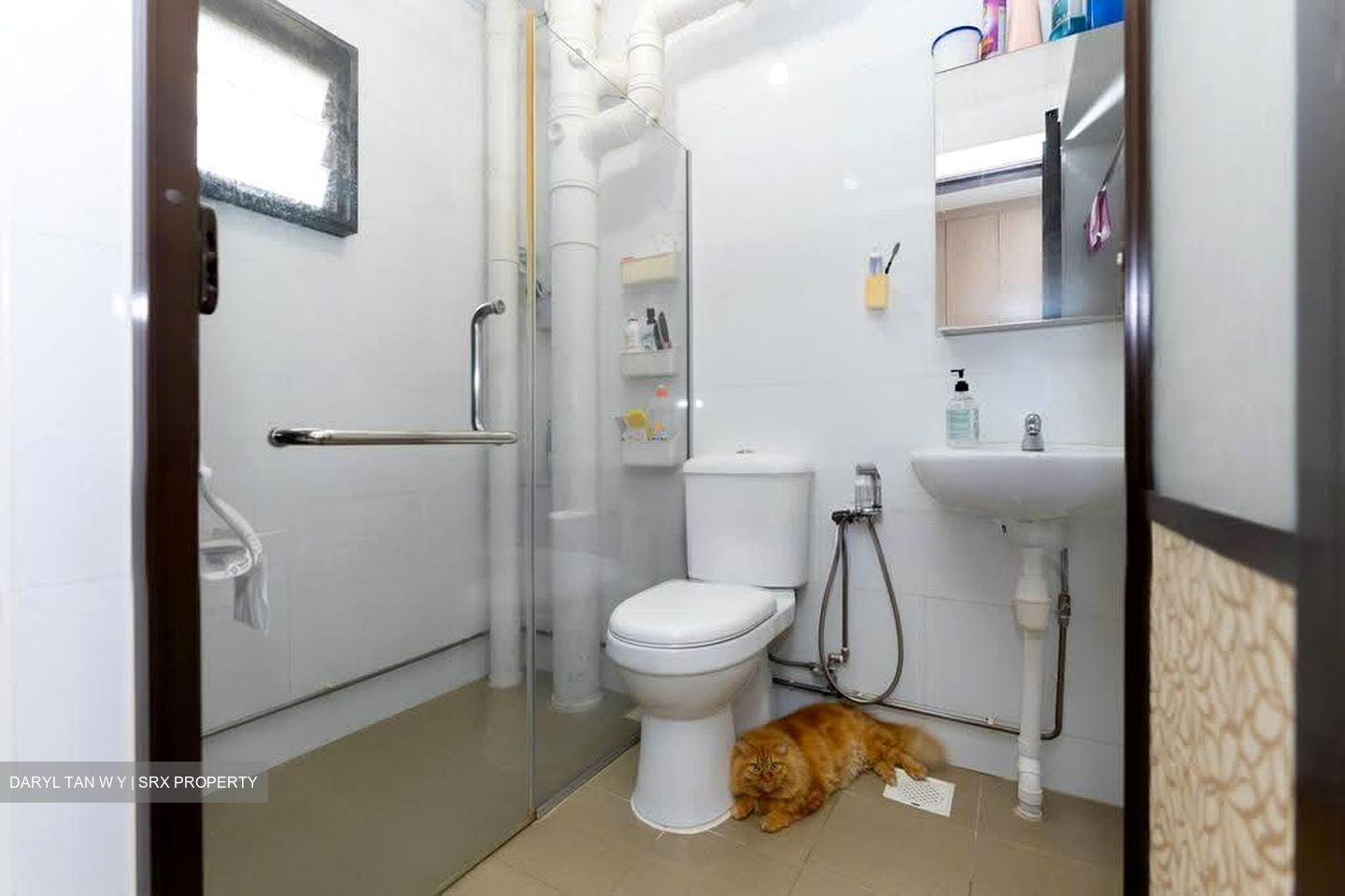 Blk 303A Anchorvale Link (Sengkang), HDB 4 Rooms #618324381